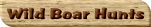 Wild Boar Hunts